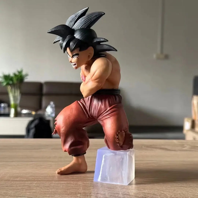 Son-Goku Base Form Damaged